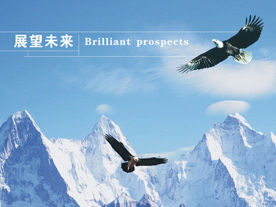 公司簡介